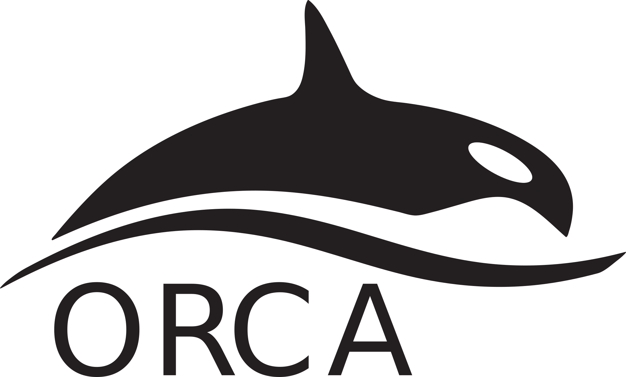 logo_orca.png